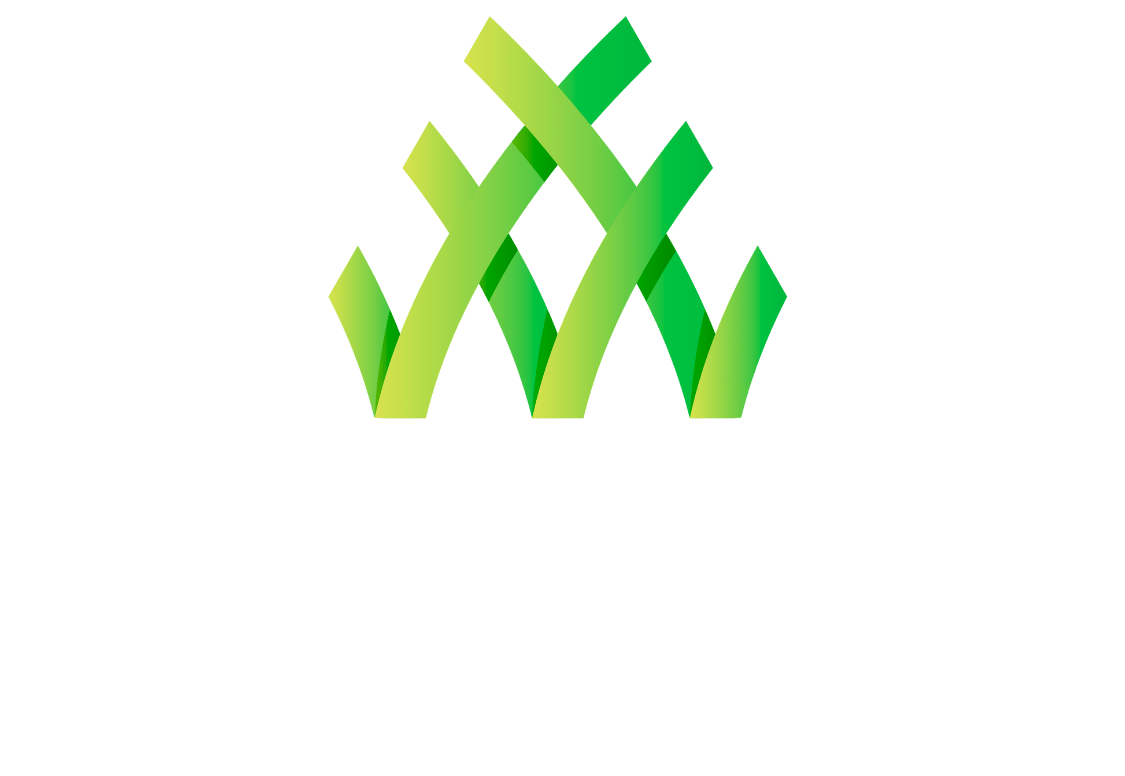 Ready Set Go Lawn Care